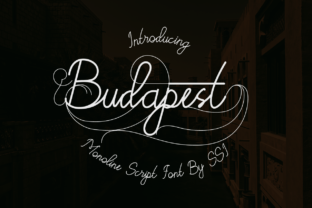 Budapest: A Handwritten Monoline Script Font for Designers