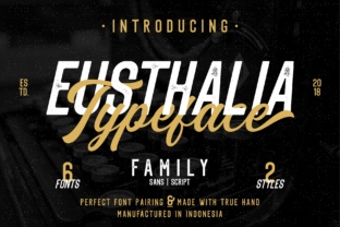 Making Intentional Design Choices with the Eusthalia Family