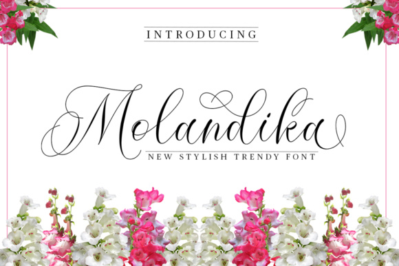 Molandika: A Refined Calligraphy Script for Modern Design