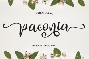 Paeonia: A Handmade Calligraphy Script That Adds Soul to Your Visual Stories